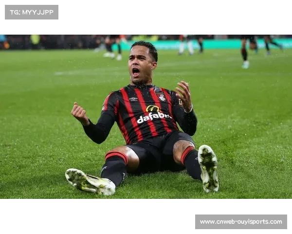 英超中游球队主场优势明显，纽卡、伯恩茅斯主场胜率超六成